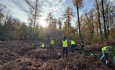 Vantage Towers AG employees join forces across 8 countries to plant trees